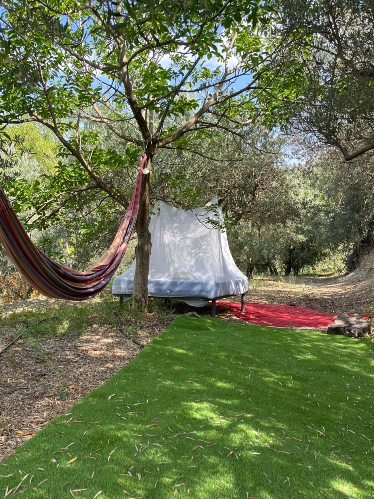 Cortijo Alhijra Big Yourte Lanjarón Exteriör bild