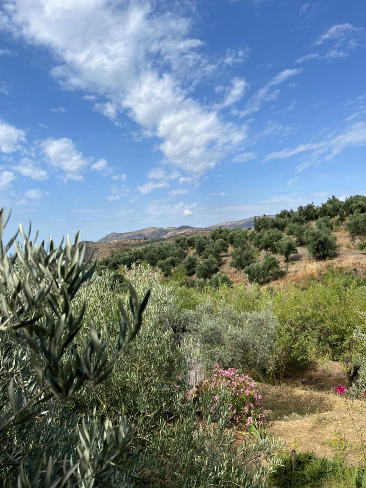 Cortijo Alhijra Big Yourte Lanjarón Exteriör bild